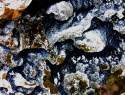295-323+1o.jpg