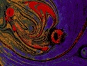 222-172+14o.JPG