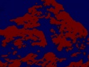 365-429+1o.JPG