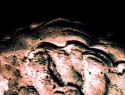 386-467+1o.JPG