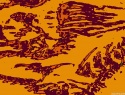 175-11+3o.jpg