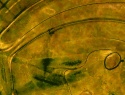375-452+1o.JPG
