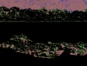 293-321+4o.JPG