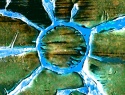 334-374+1o.JPG