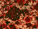 514-269+7o.JPG