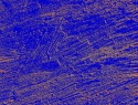 441-82+2o.JPG