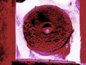 310-351+1o.JPG