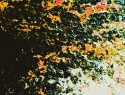196-105+4o.JPG