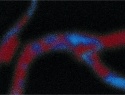 359-419+11o.JPG