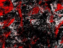 449-99+5o.JPG