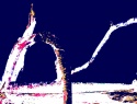 392-480+1o.JPG